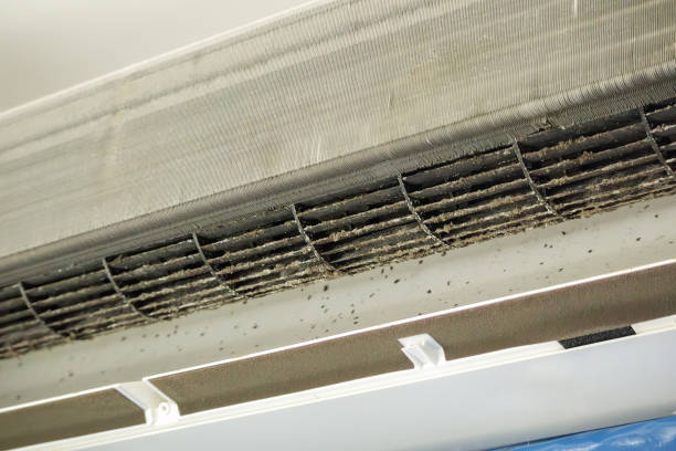 Best Ventilation Cleaning Services  in Paramus, NJ